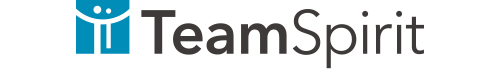 株式会社チームスピリット